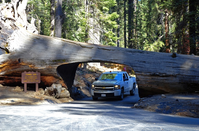USA Californien Sequoia Nationalpark