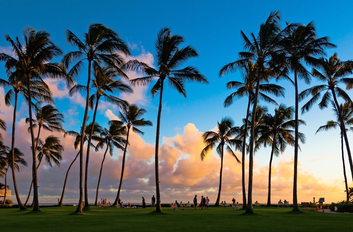 Solnedgang - øen Kauai - Hawaii i USA