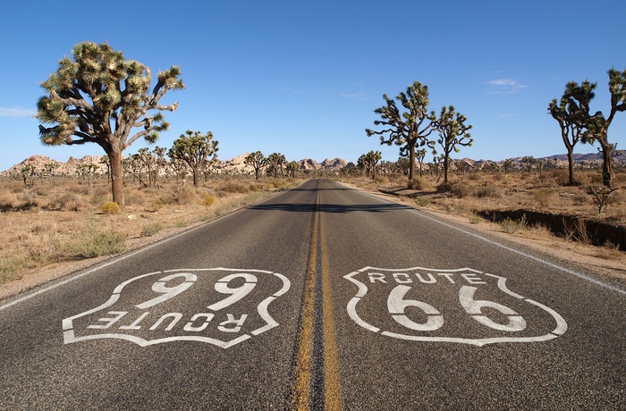 USA Californien Mojave Ørkenen