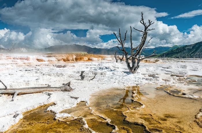 USA Yellowstone National Park Mammoth Hot Springs