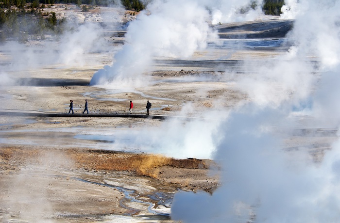 USA Yellowstone National Park Norris Geyser Basin