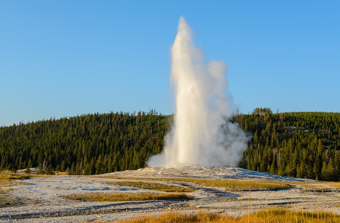 USA Yellowstone National Park Old Faithful Geyser