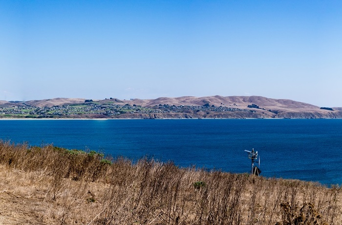 Udsigt fra Bodega Head Trail