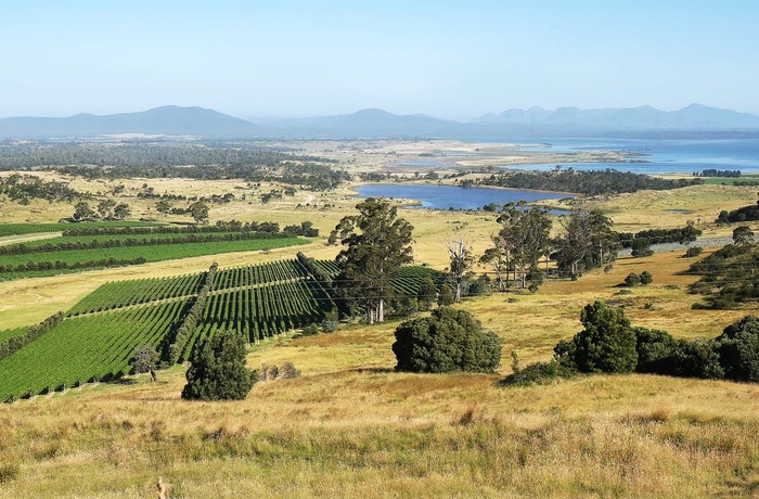 Udsigt til Great Oyster Bay på Tasmanien - Australien