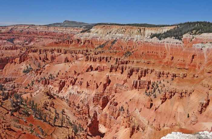 Cedar Breaks National Monument i Utah