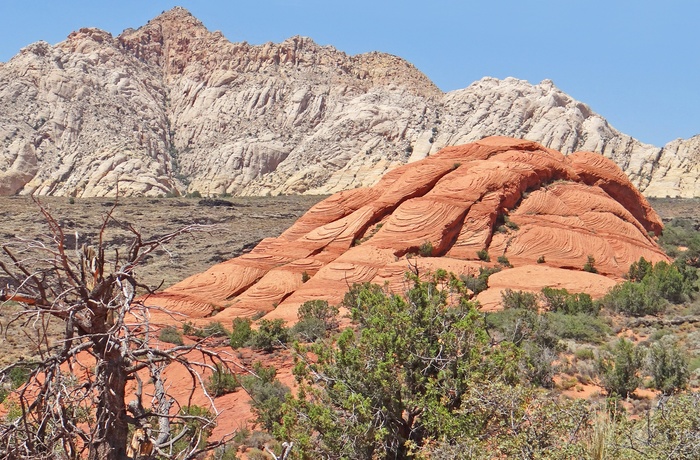 Snow Canyon State Park i Utah, USA