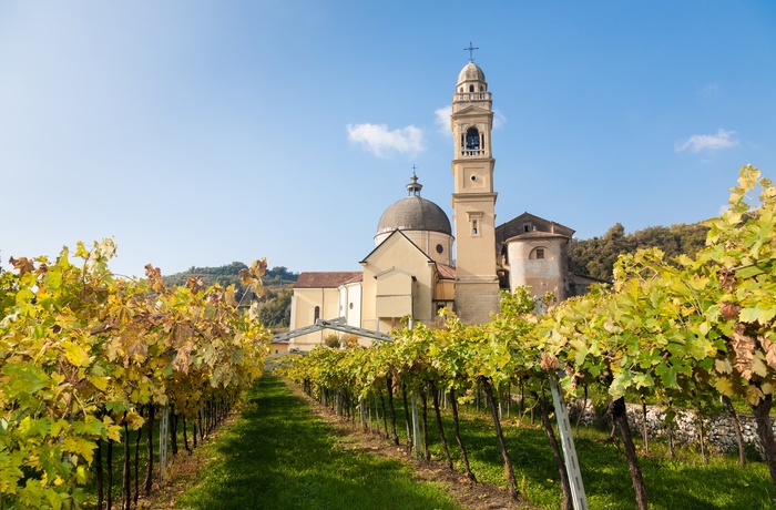 Valpolicella - vinområde tæt på Gardasøen