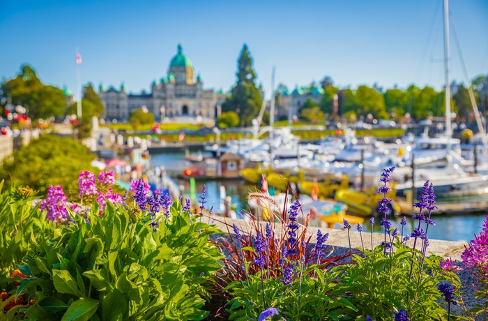 Blomster og sløret havn og parlamentsbygning i baggrunden - Victoria på Vancouver Island