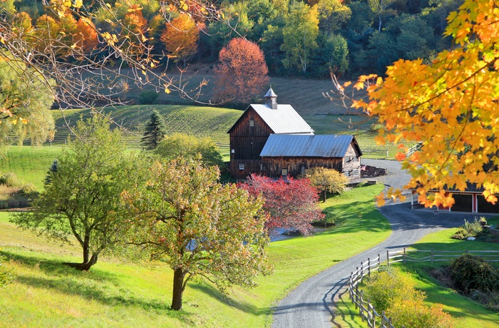 Vej gennem Vermont om efteråret, USA