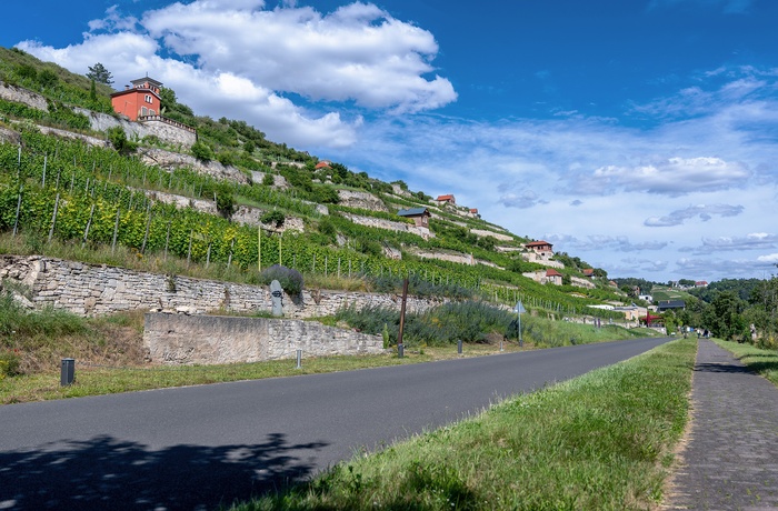 Foto: Cykel- og vandresti langs vinmarker i Unstrut-dalen, Sachsen-Anhalt - © FDM Travel, Shutterstock