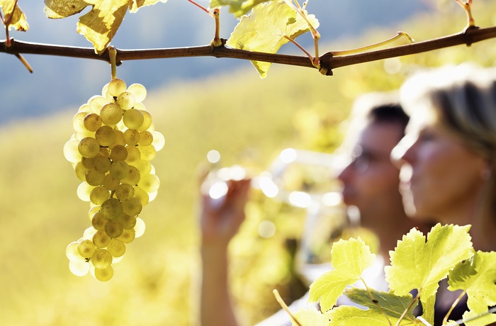 Vinsmagning