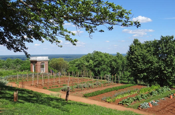 Monticello tæt på Charlottesville - Virginia i USA