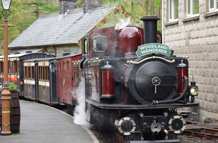 Wales - damplokomotivet Woodland Wonder gør klar til afgang på Ffestiniog Railways