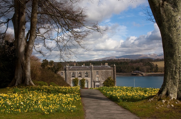 Wales - påskeliljer byder velkommen til Plas Newdd på Isle of Anglesey ned til Menai Straits