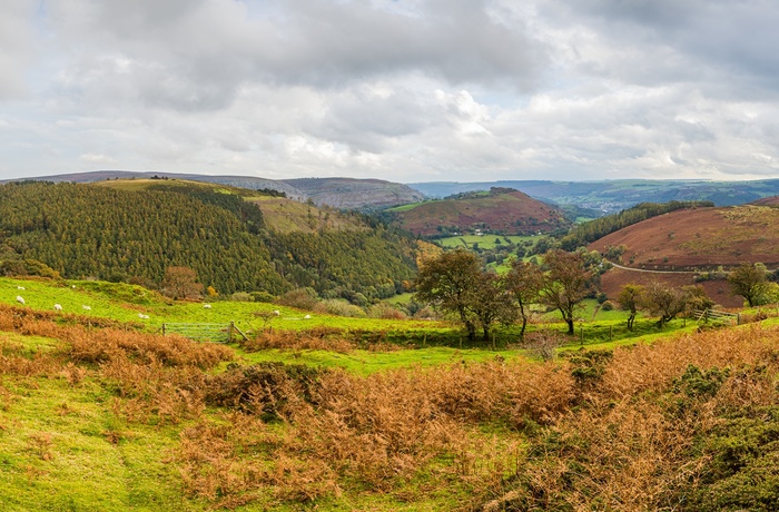 Wales - vejen ved Horseshoe Pass går rundt om Llantysilio Mountain