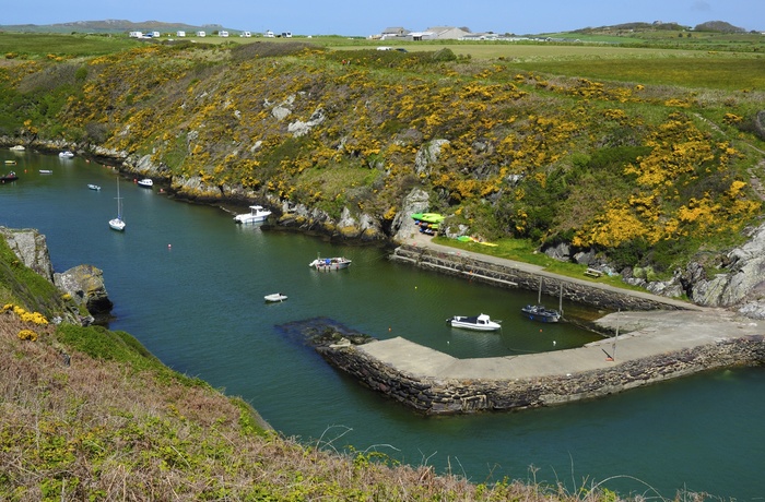 Wales, Pembrokeshire - Porthclais harbour med den beskyttende mole mod St. Brides Bay