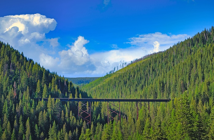 En del af Hiawatha Trail - bro over frodigt skovområde - Montana og Idaho i USA