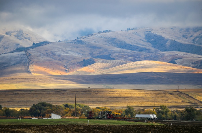 Landbrugsområde i Walla Walla Valley, Washington State