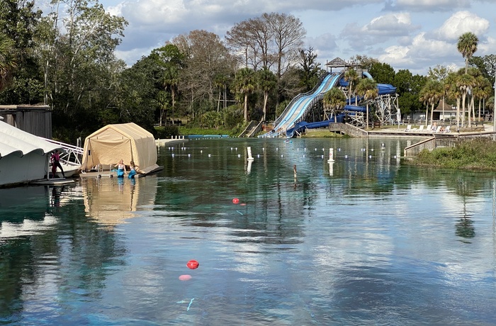 Weeki Wachee Springs badeområde, Florida 