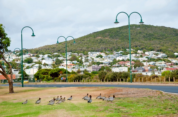 Den lille by Albany i Western Australia