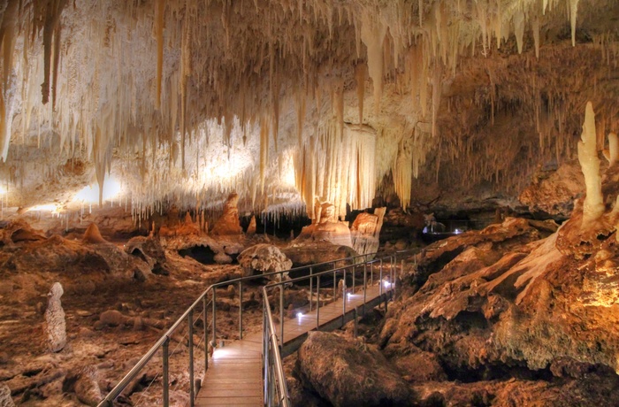 Kalkstenshulen eller grotten Mammoth Cave i Western Australia, Australien