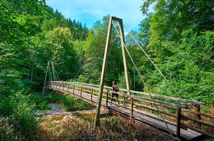 Wutach-kløften i Schwarzwald