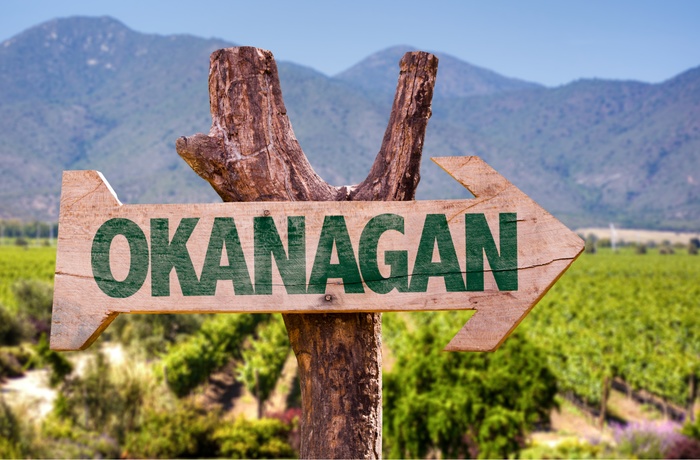 Vinområdet Okanagan i Britisk Canada 