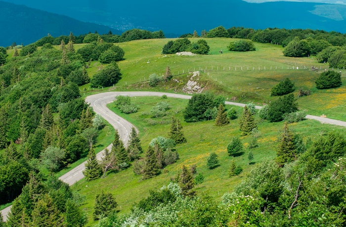 Alsace - turistvejen i Vogeserne "Route des Crêtes" i foråret hvor alt er grønt