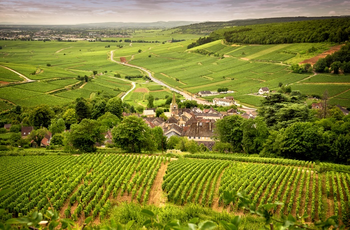Vinmarker omkring en gård i smukke Bourgogne, Frankrig