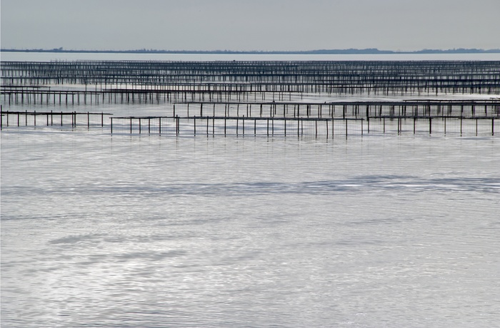 Østersfarme i Thau-søen ved Marseillan-Plage, Frankrig