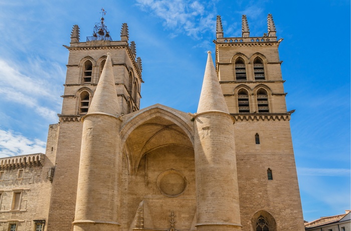 Katedralen Saint-Pierre i Montpellier, Frankrig