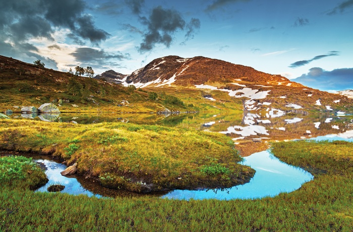 Hardangervidda National Park i Norge