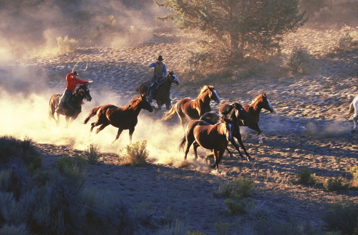 HI_USA_Cowboys_1_07.jpg