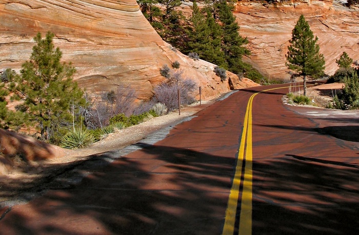 På vej gennem Zion Nationalpark