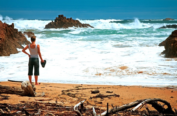 Gør nogle stop når du kører via Garden Route