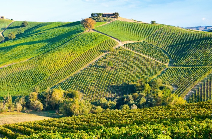16_HI_FR_Bordeaux_Vinområde.jpg