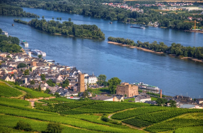 Udsigt til Rüdesheim og floden Rhinen