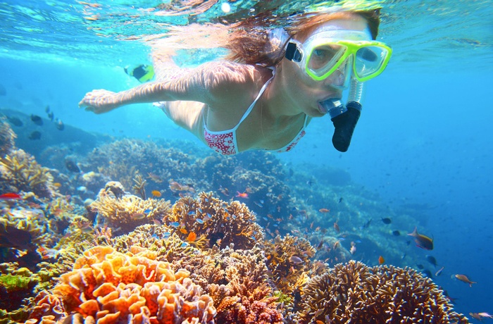 Snorkling ved Great Barrier Reef i Australien