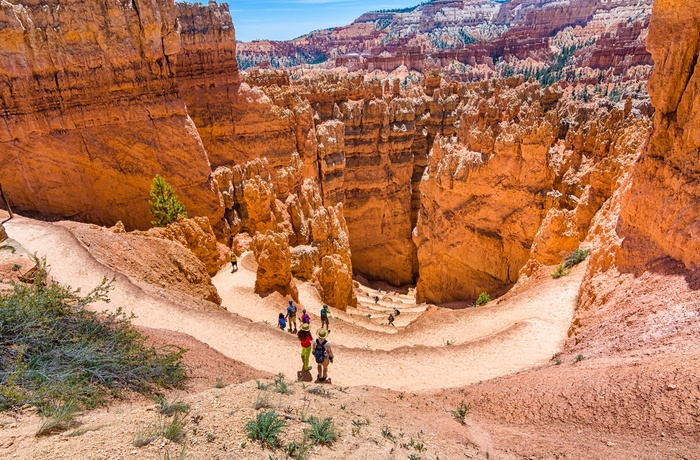 Turister i Bryce Canyon National Park