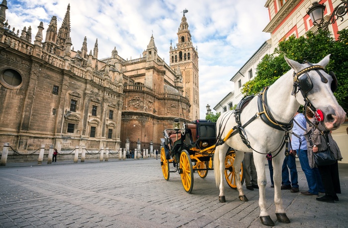 Giralda katedralen i Sevilla