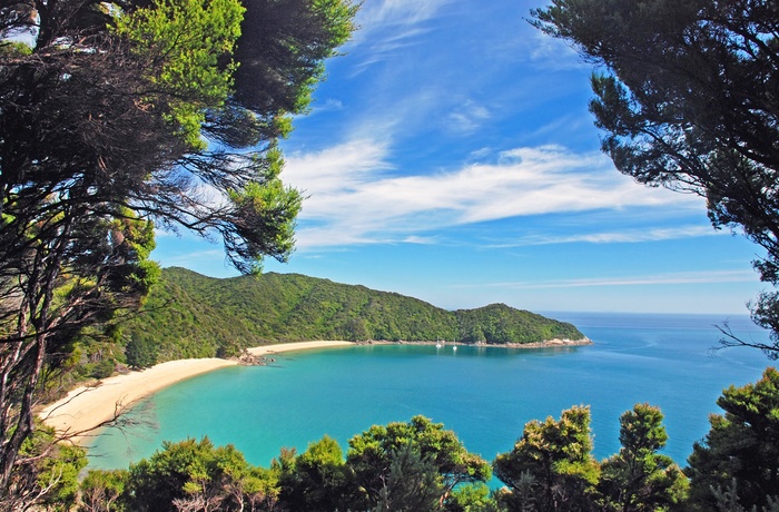 Kyststrækning i Abel Tasman National Park - Sydøen