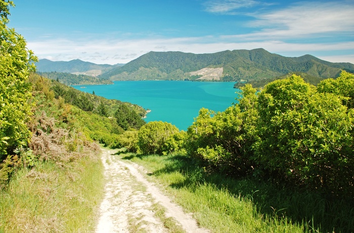 16_HI_NZ_S_Marlborough_Sound_Queen_Charlotte_Track.jpg