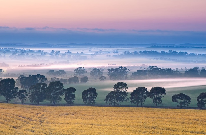 Landbrugsland og vinmarker Clare Valley - South Australia