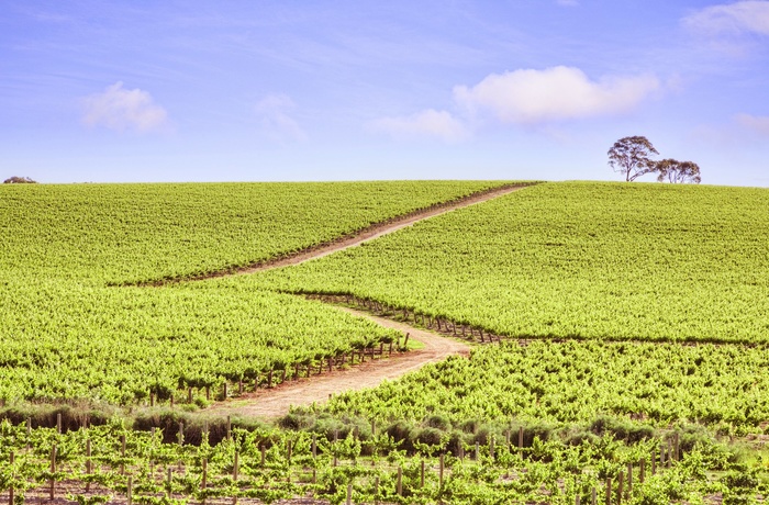 Vinmarker Clare Valley - South Australia