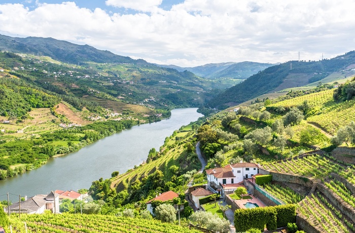 Douro floden og vinterrasser i det nordlige Portugal