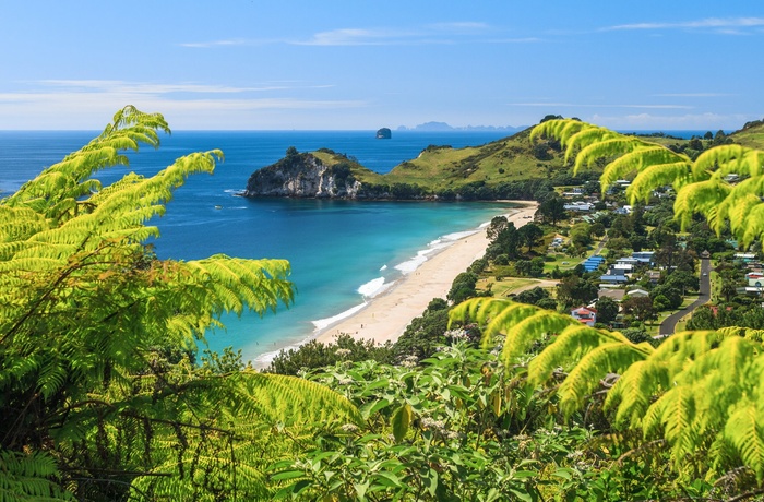 16_HI_Coromandel_peninsula_4.jpg
