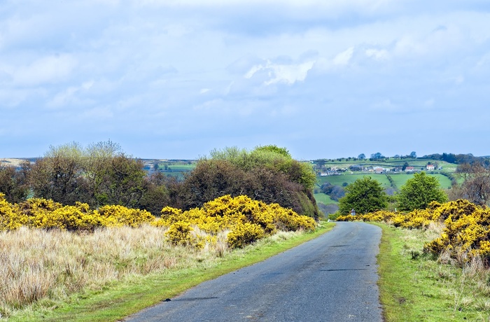 16_HI_North_York_Moors_NP_1.jpg