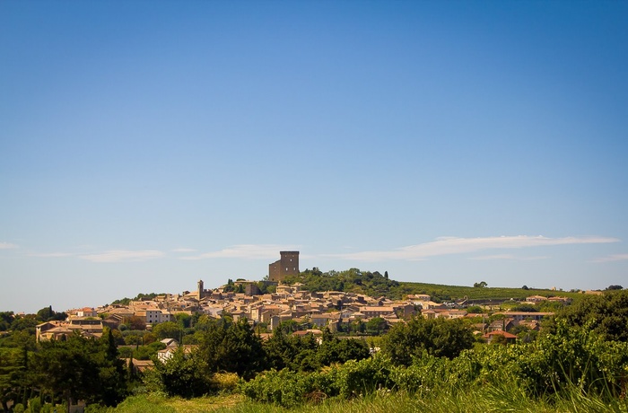 Udsigt til Châteauneuf-du-Pape