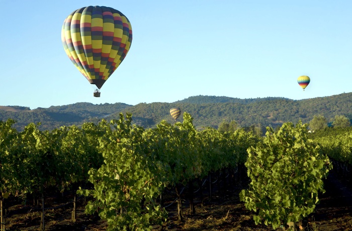 Luftballonner over skove i Brandenburg, Tyskland