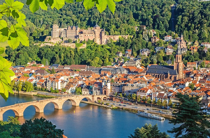 Udsigt til Heidelberg og bro overfloden Neckar, Tyskland